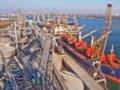 Блокируя украинские порты, РФ сознательно ведет «зерновую войну» - МИД Германии