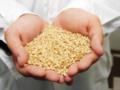 Захід шукає шляхи відновити заблокований Росією експорт українського зерна