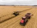 Украина инициирует  зерновую ОПЭК : в Минагро оценили риски дефицита продуктов
