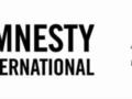 Финское отделение Amnesty International потеряло доноров после скандального отчета по работе ВСУ