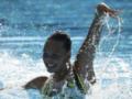 Украина выиграла еще два золота на чемпионате Европы по водным видам спорта