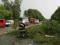 На трассе Тернополь - Львов деревья повредили автомобили