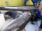 В Австралии акула запрыгнула в рыбацкую лодку