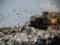 Львовская облрада утвердила программу по утилизации мусора
