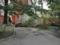 На Прикарпатье поваленное непогодой дерево упало на мальчика