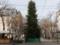 В Одессе на новогоднюю елку на Дерибасовской срубили 400 молодых сосен