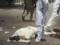 В Пакистане прогремел очередной взрыв, погибли шесть человек