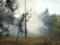 Полицейские Харьковщины устанавливают обстоятельства пожара в лесном массиве