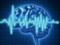 «Умный браслет» предупредит о приступе эпилепсии