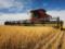 Урожай зерновых в Украине в этом году предварительно составит 74 млн тонн