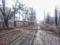 В Харькове из-за непогоды упало семь деревьев