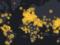 СНБО создал электронная карту распространения коронавируса