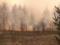 В Житомирской области - новый очаг лесного пожара