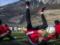 Чемпионат Швейцарии может возобновиться 8 июня