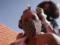 Из-за коронавируса в ЮАР парикмахеры вынуждены работать подпольно