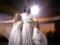  Танці з зірками : Надежда Мейхер впервые показала своих дочерей Анну и Марию