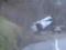 Чудовищная авария на ралли Монте-Карло: машина врезалась в холм и сорвалась в пропасть