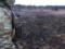 У границы с Беларусью задержаны три поджигателя сухой травы