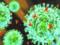 Инфицирование новым коронавирусом может спровоцировать воспаление спинного мозга