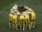 Украина - Англия: команды назвали стартовые составы на битву за полуфинал Евро-2020