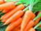 Користь молодої моркви