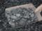 Минэнерго обнаружило недостачу 17,5 тысяч тонн угля на складах «Львовугля»