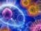 Ученые нашли способ усилить иммунитет в борьбе с раком