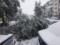 Снежное воскресенье в Кемерово