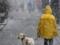 В выходные в Харькове ожидается дождь и мокрый снег