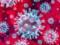 Может ли дельта-штамм коронавируса самоликвидироваться, сообщили учёные