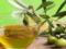 Оливкова олія: 10 цікавих фактів