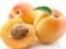 О полезных свойствах абрикоса