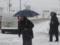 В Украине ожидаются снегопады, в Карпатах — лавины, а в Киеве объявлено штормовое