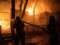 В Киеве горели яхт-клуб и ЮБК на Трухановом острове. Огонь повсюду ликвидирован