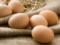 Ученые: куриные яйца помогут сбросить лишние килограммы