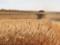 Латвия поможет Украине продать зерновые через свои порты - Минагрополитики