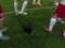 На віденському стадіоні утворилась діра в газоні після матчу Австрія — Данія