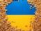 Экспорт украинского зерна приближается к 2 миллионам тонн в месяц