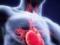 Ученые определили группу крови, которая наиболее подвержена болезням сердца