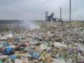 Во Львове остается не вывезено еще более 10,7 тонн мусора