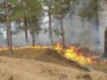 В Херсонской области ликвидирован пожар в Костогрызовском лесничестве