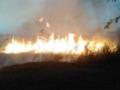 Продолжается локализация пожара, возникшего на военном складе вблизи н.п. Новоянисоль в Донецкой области