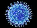 Новый вид иммунотерапии поможет справиться с вирусом гриппа