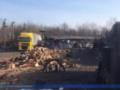 Во Львовской области разоблачили схему незаконной вырубки леса