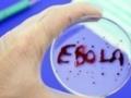 В США одобрили первую вакцину против Эболы