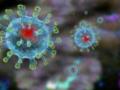 Китай не предоставил экспертам ВОЗ исходные данные о начале вспышки коронавируса – WSJ