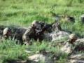 Боевики на Донбассе били из минометов по Авдеевке