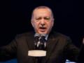 Эрдоган приказал выслать из Турции послов США, Германии и Франции