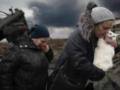 В Украине хотят запретить разводить на продажу собак и кошек, по меньшей мере до 2028 года