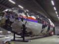 ПАСЕ: Россия ответственна за гибель рейса МН17